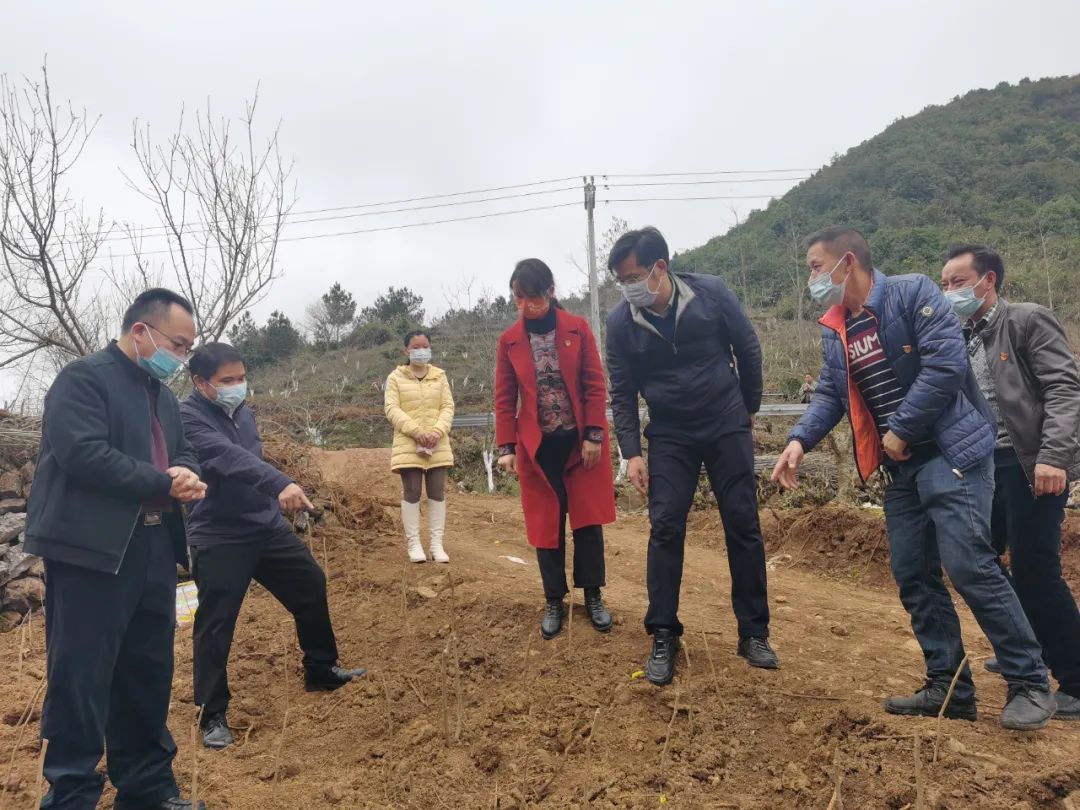 图片1-20220224143606539