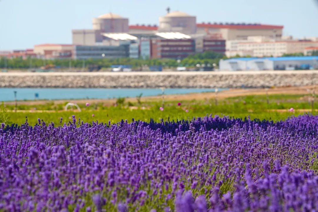 图片4-20220325120104926