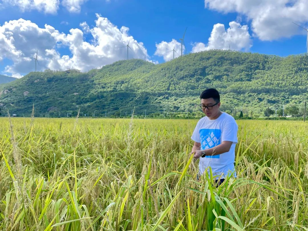 图1-20220725170817467