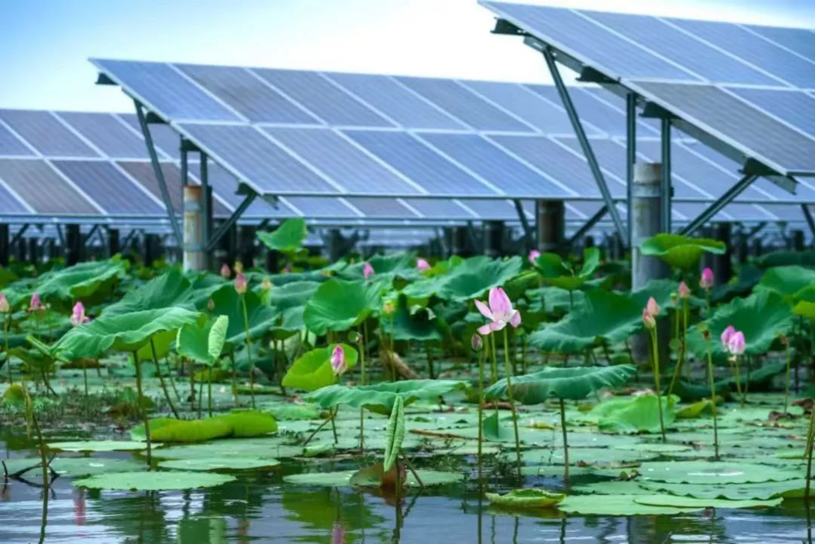 20240307145411890008