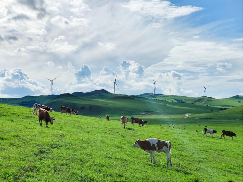 20240322164643523003