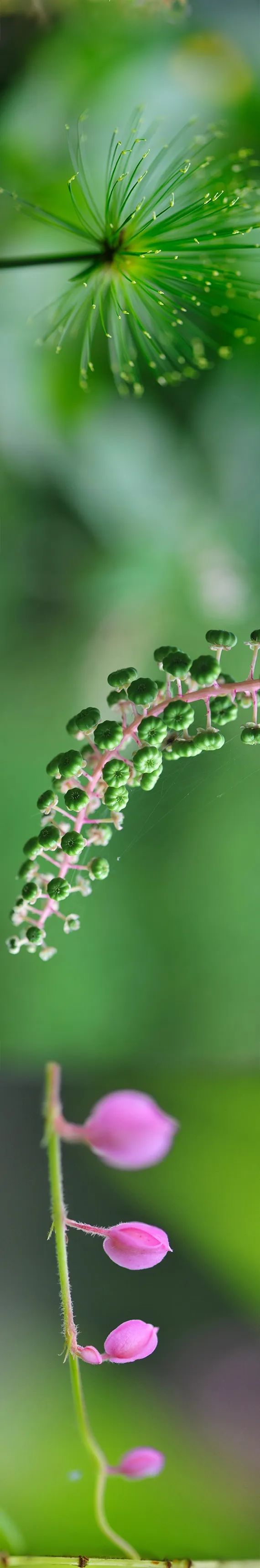 20240614090504317028