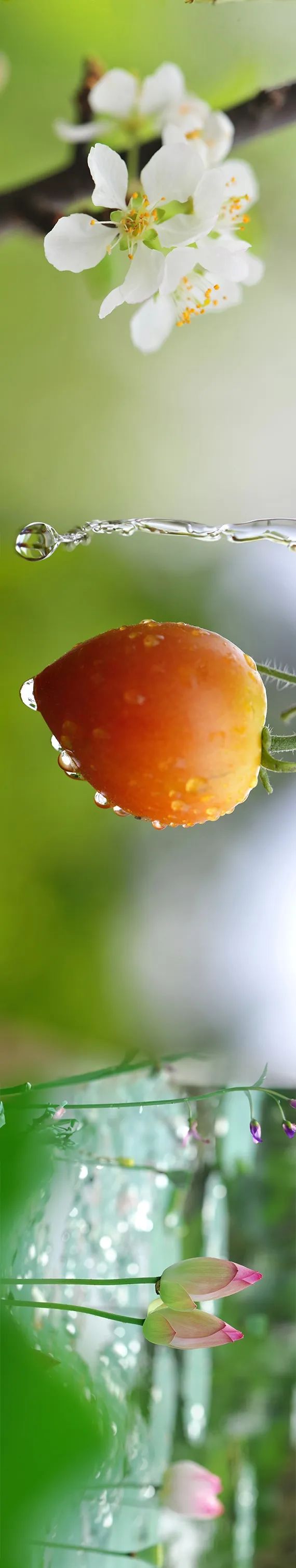 20240614090504375029