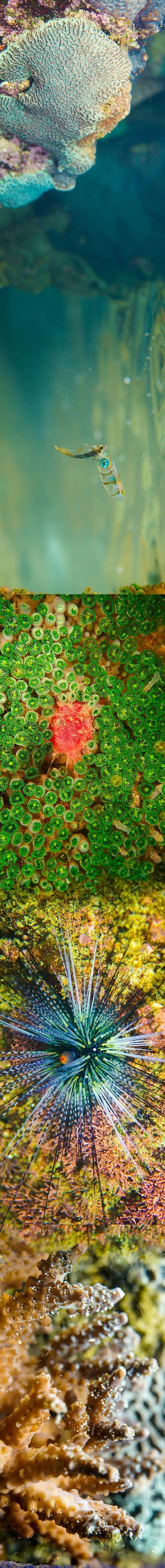 20240614090505110033