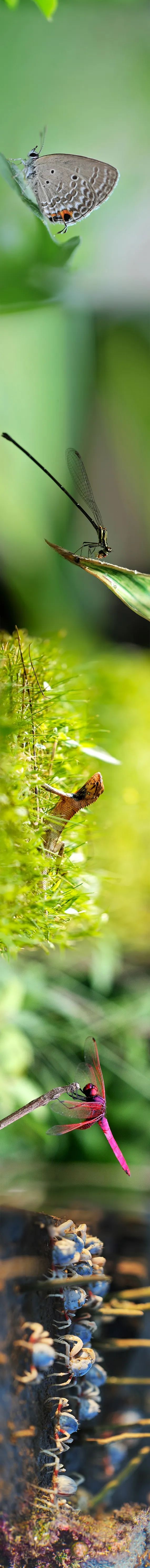 20240614090505383032