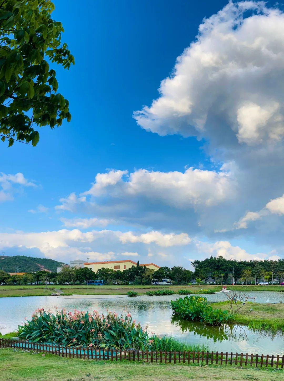 20240726100102706006