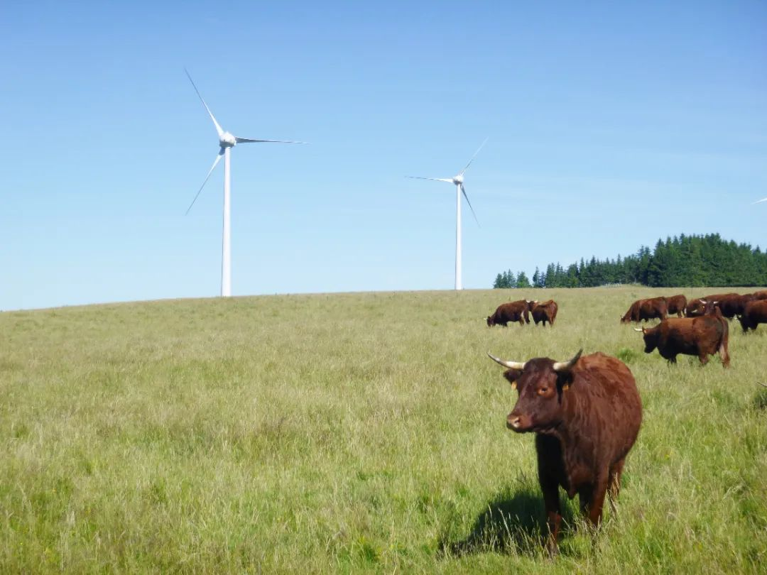 20241029113739109021