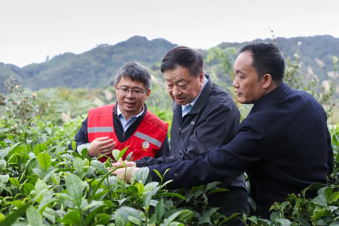 20241202144436533001