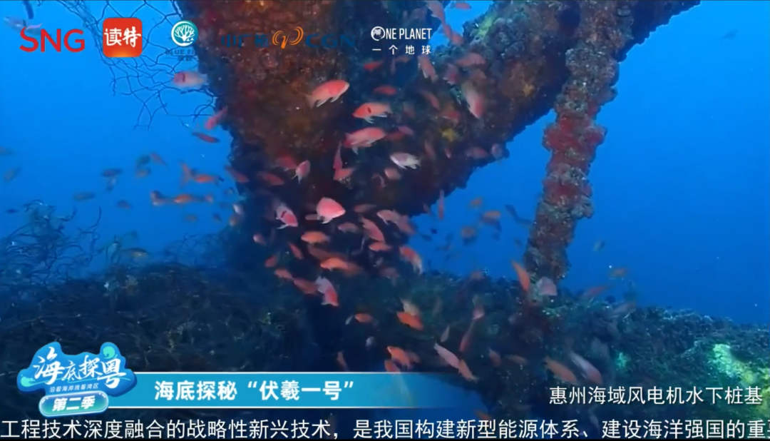 20241220155854679006