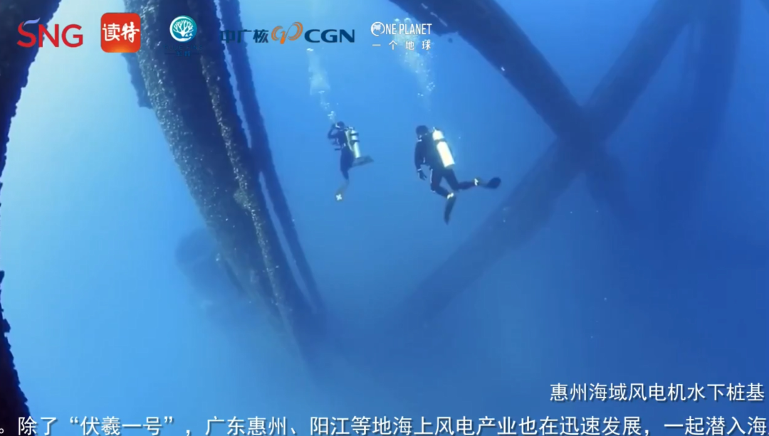 20241220155856755008