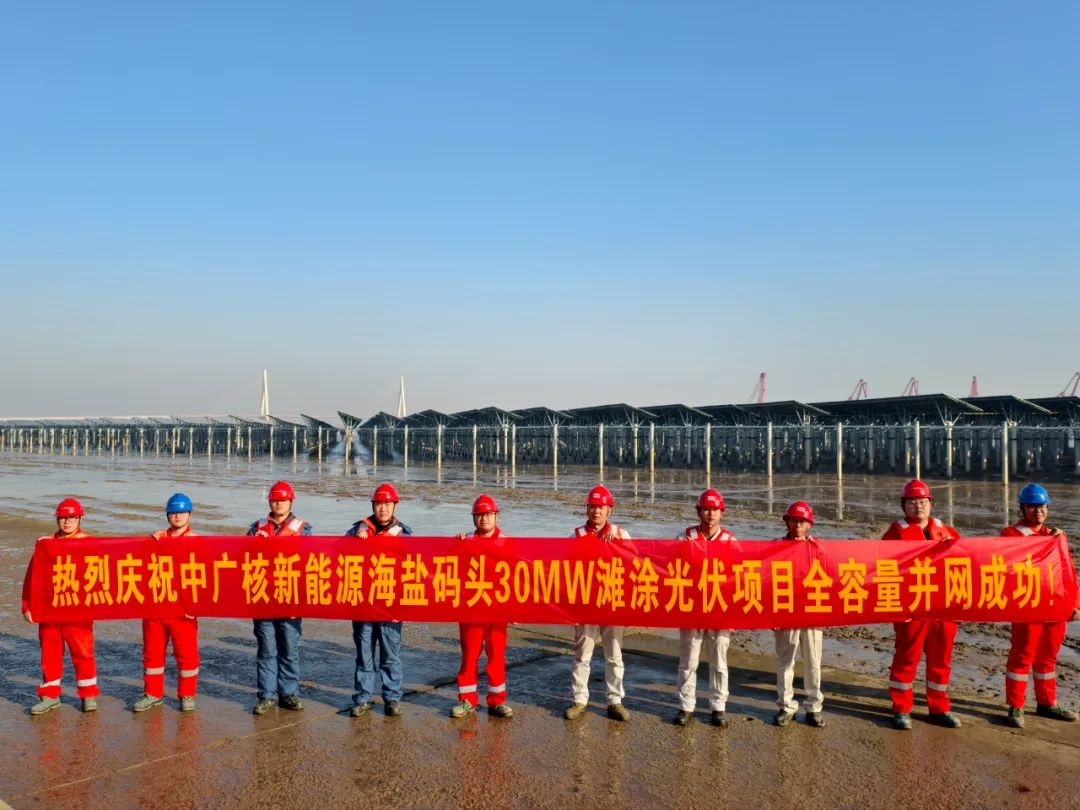 20241220164407565002