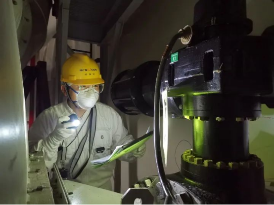 20250115110209769005