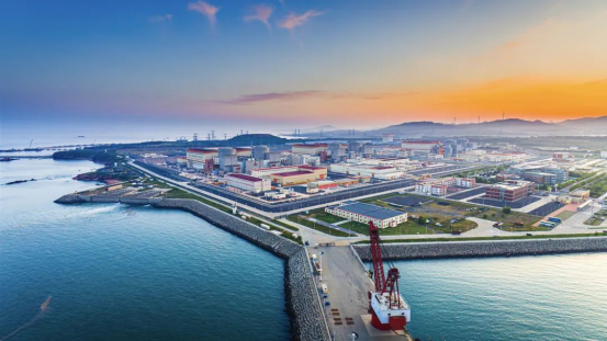 20250115110210430012