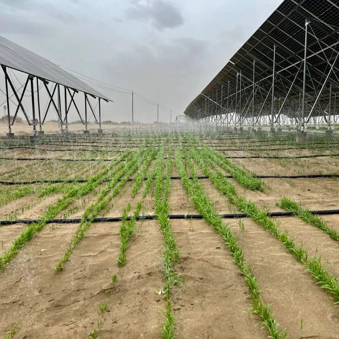 20241029110524401002