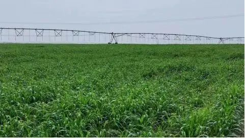 20241029110524978003