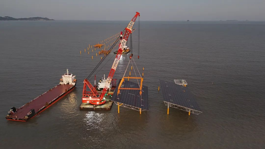 20241220160330869002