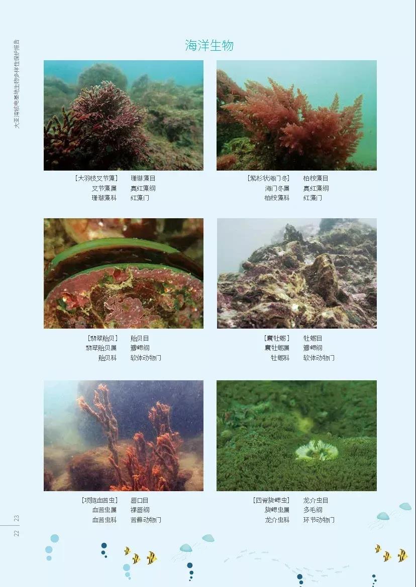 2a4156b3ed1543e8a9b5abb27445190b