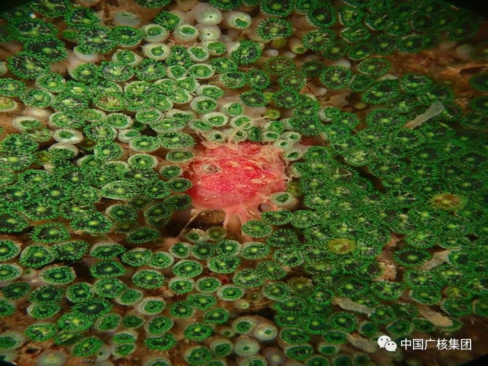 917e028115a04100872a3403521b75bd