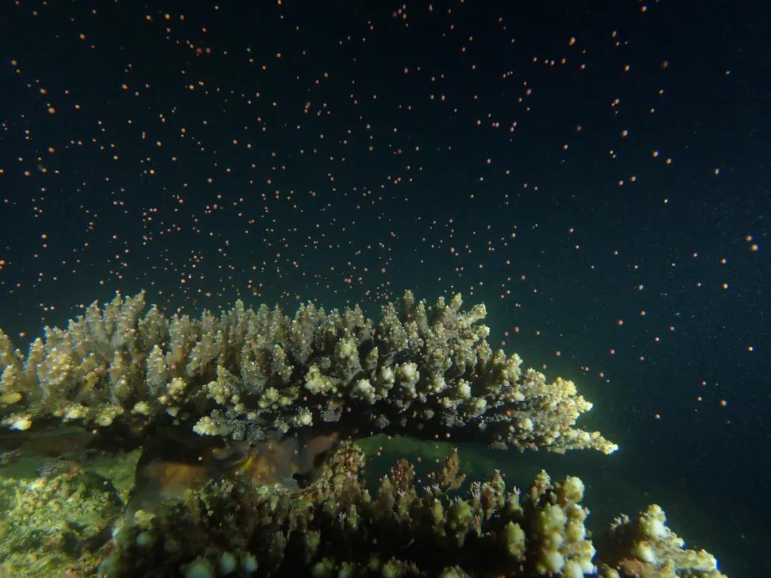 9b5cd6ab0c5f4e0bb5227bf77940e943