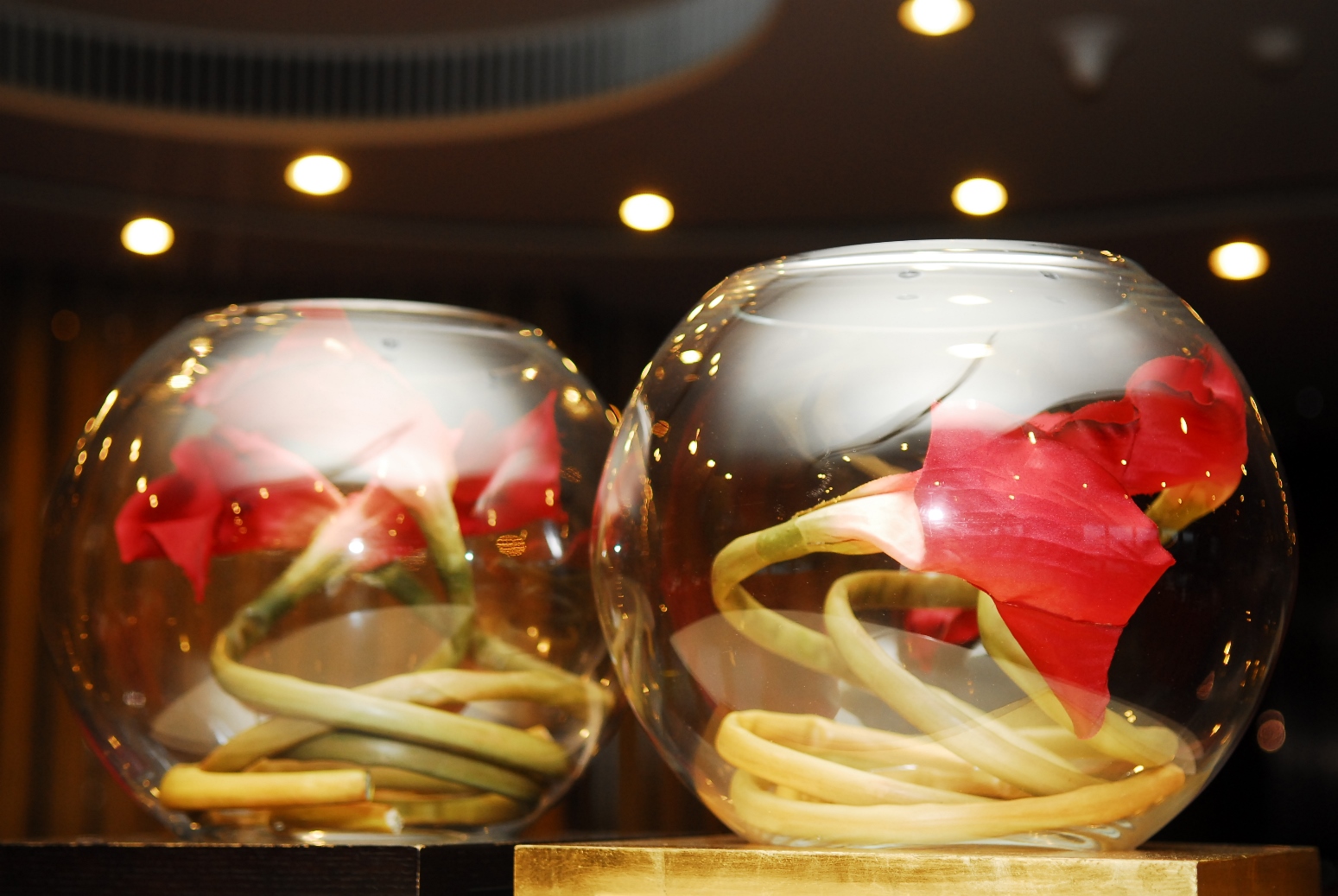 威客电竞·(中国)VKGAME