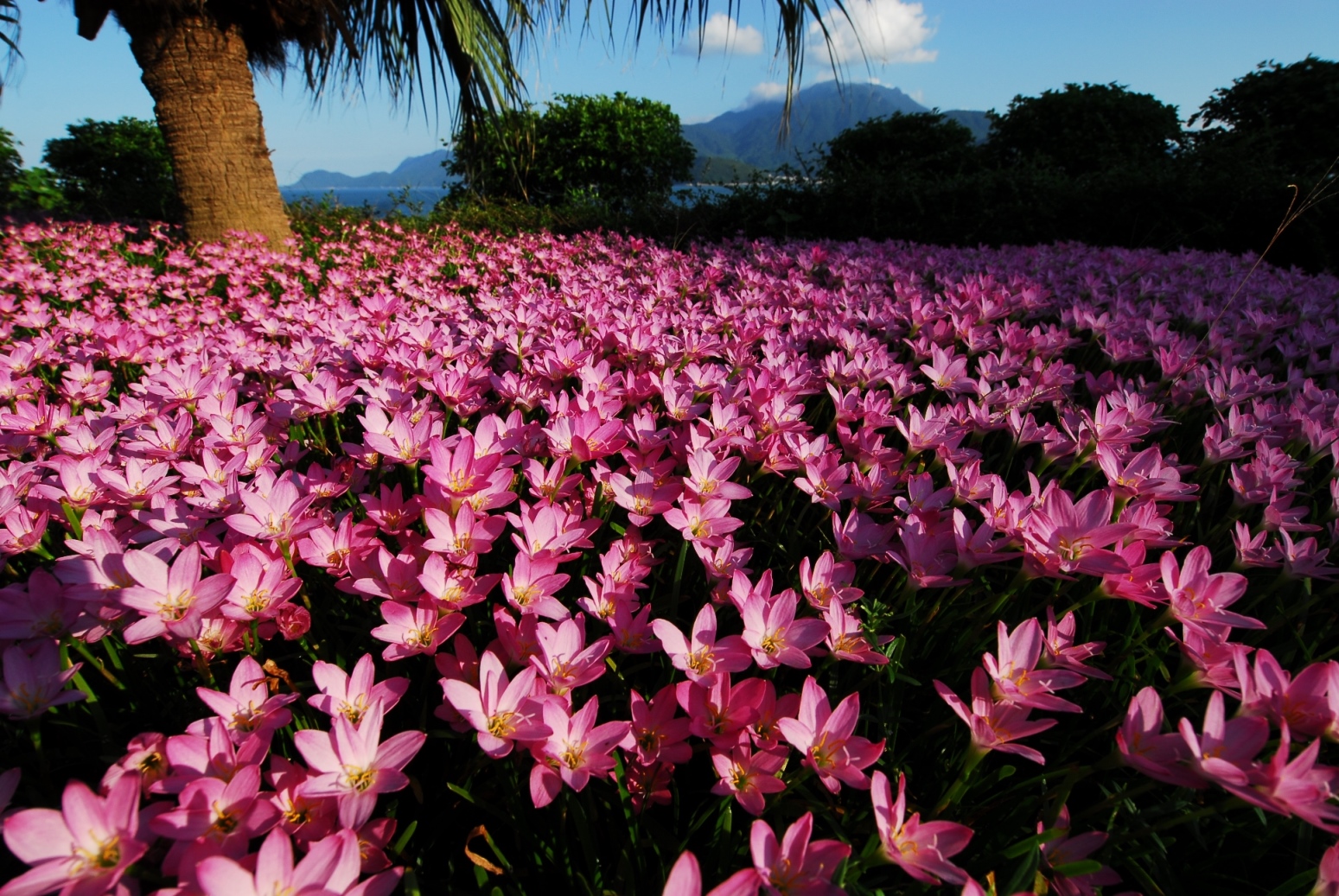 威客电竞·(中国)VKGAME