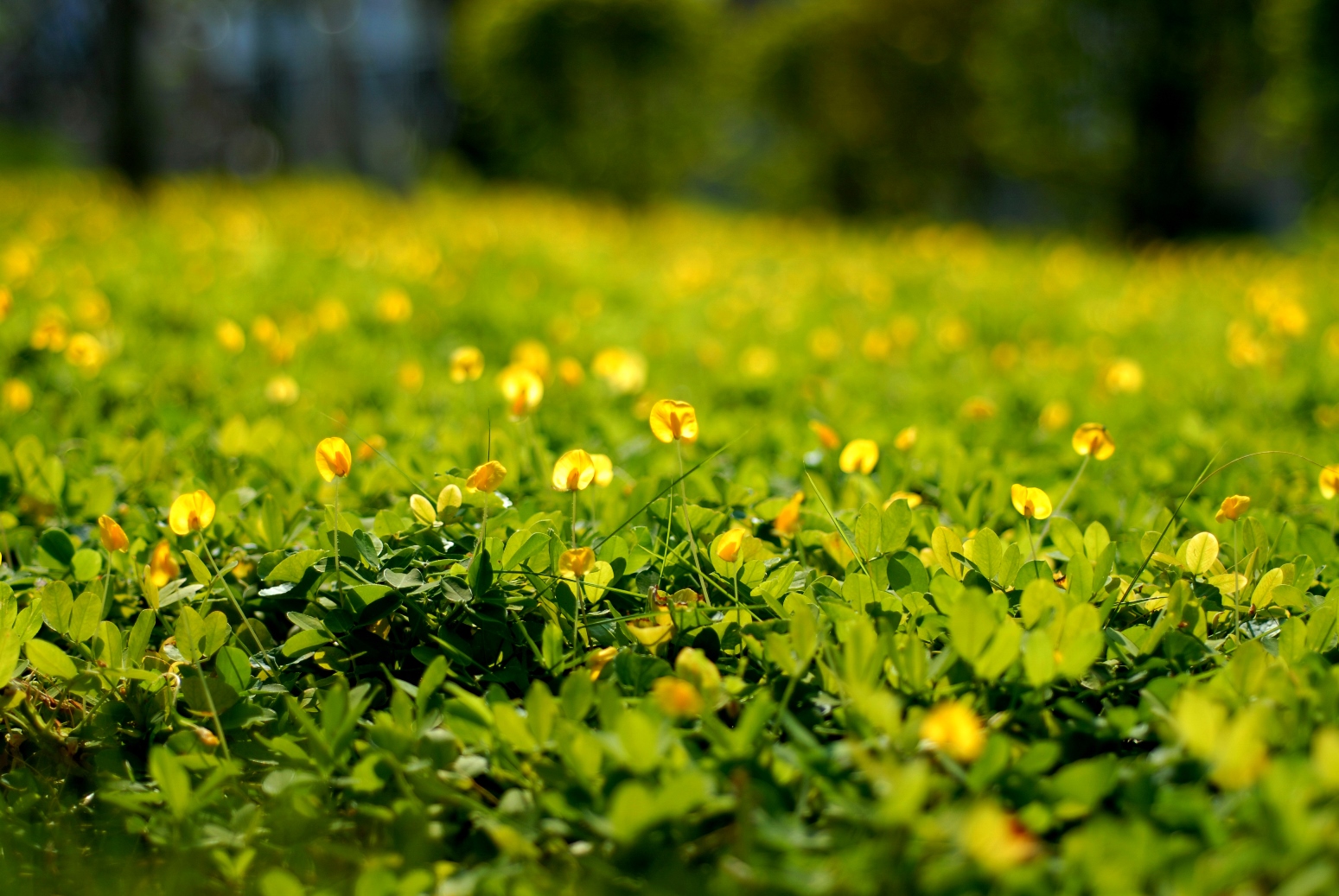 威客电竞·(中国)VKGAME