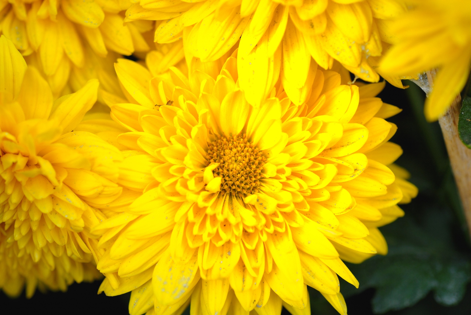 威客电竞·(中国)VKGAME