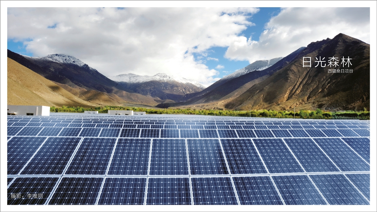 威客电竞·(中国)VKGAME