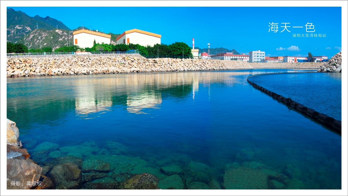 威客电竞·(中国)VKGAME