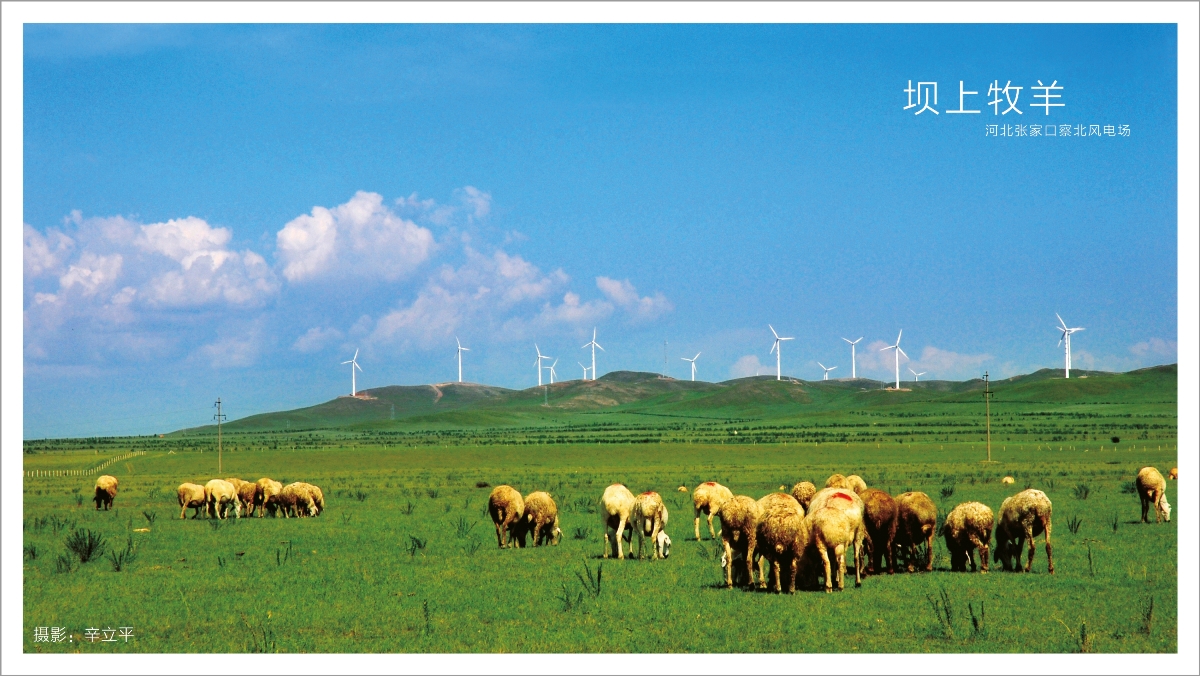 威客电竞·(中国)VKGAME