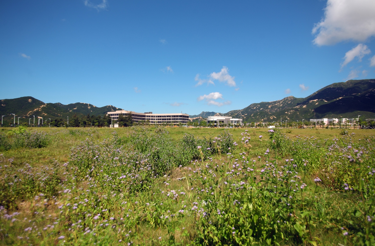 威客电竞·(中国)VKGAME