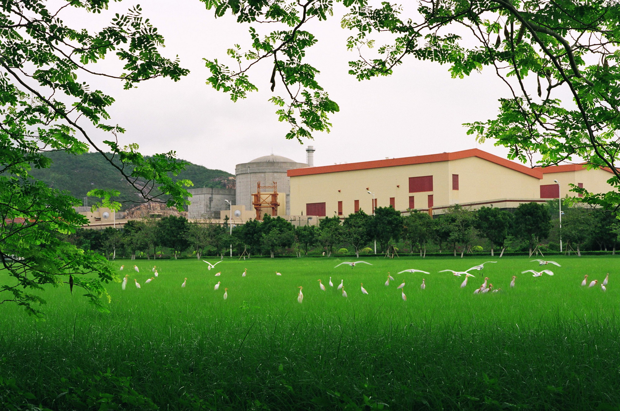 威客电竞·(中国)VKGAME