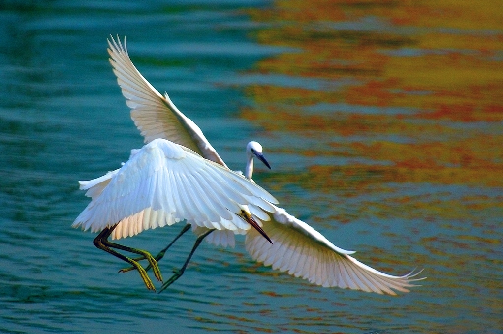 威客电竞·(中国)VKGAME