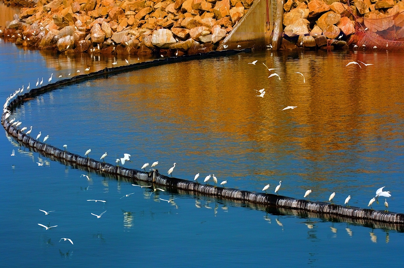 威客电竞·(中国)VKGAME