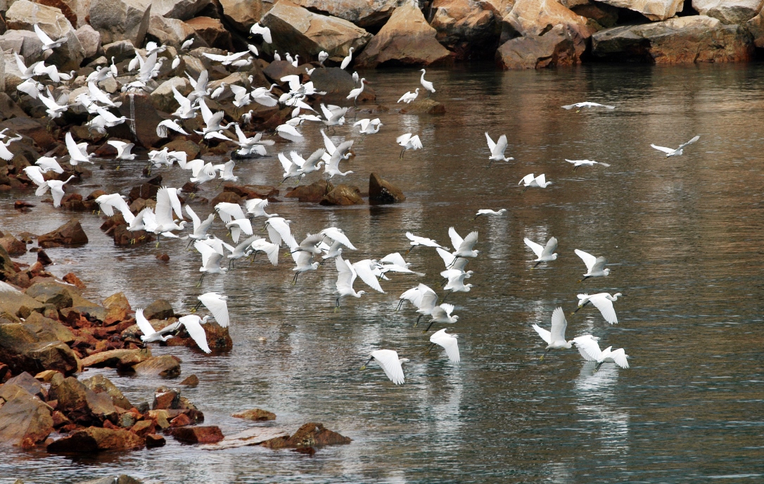 威客电竞·(中国)VKGAME