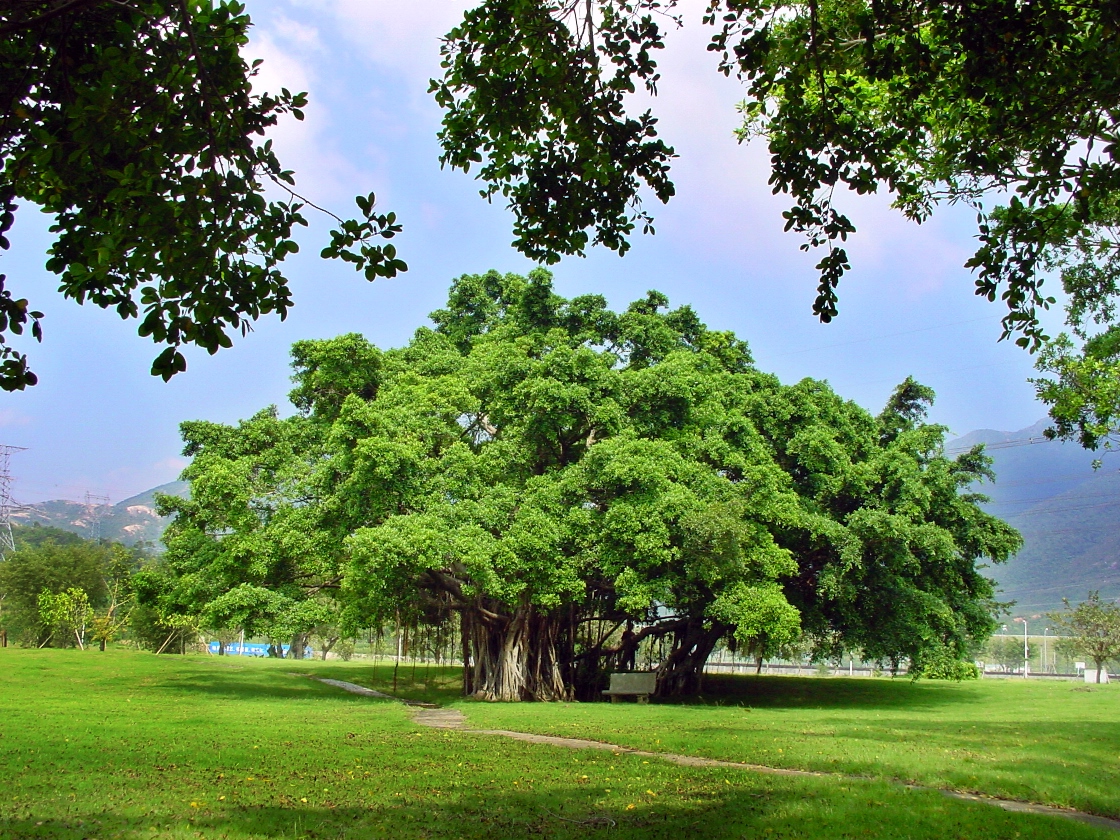 威客电竞·(中国)VKGAME