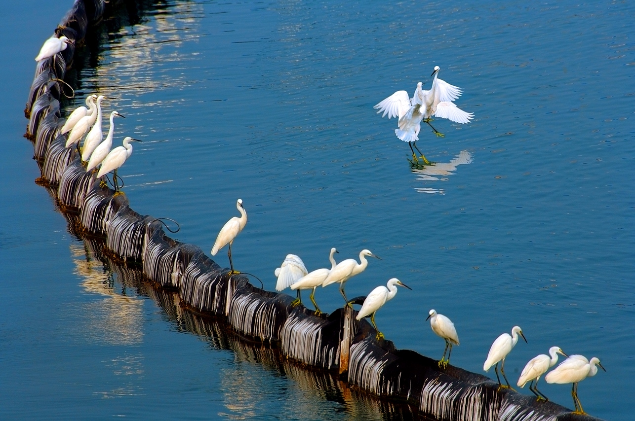 威客电竞·(中国)VKGAME