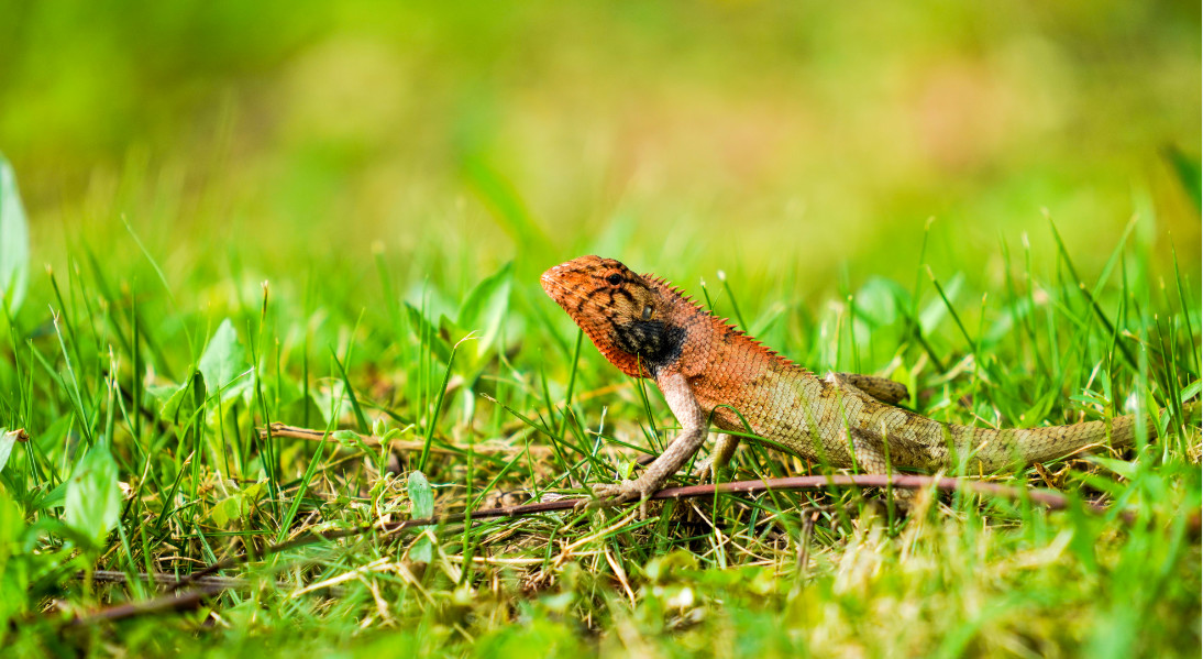 5221c9c848a6410da9d18b1aca5a6cec