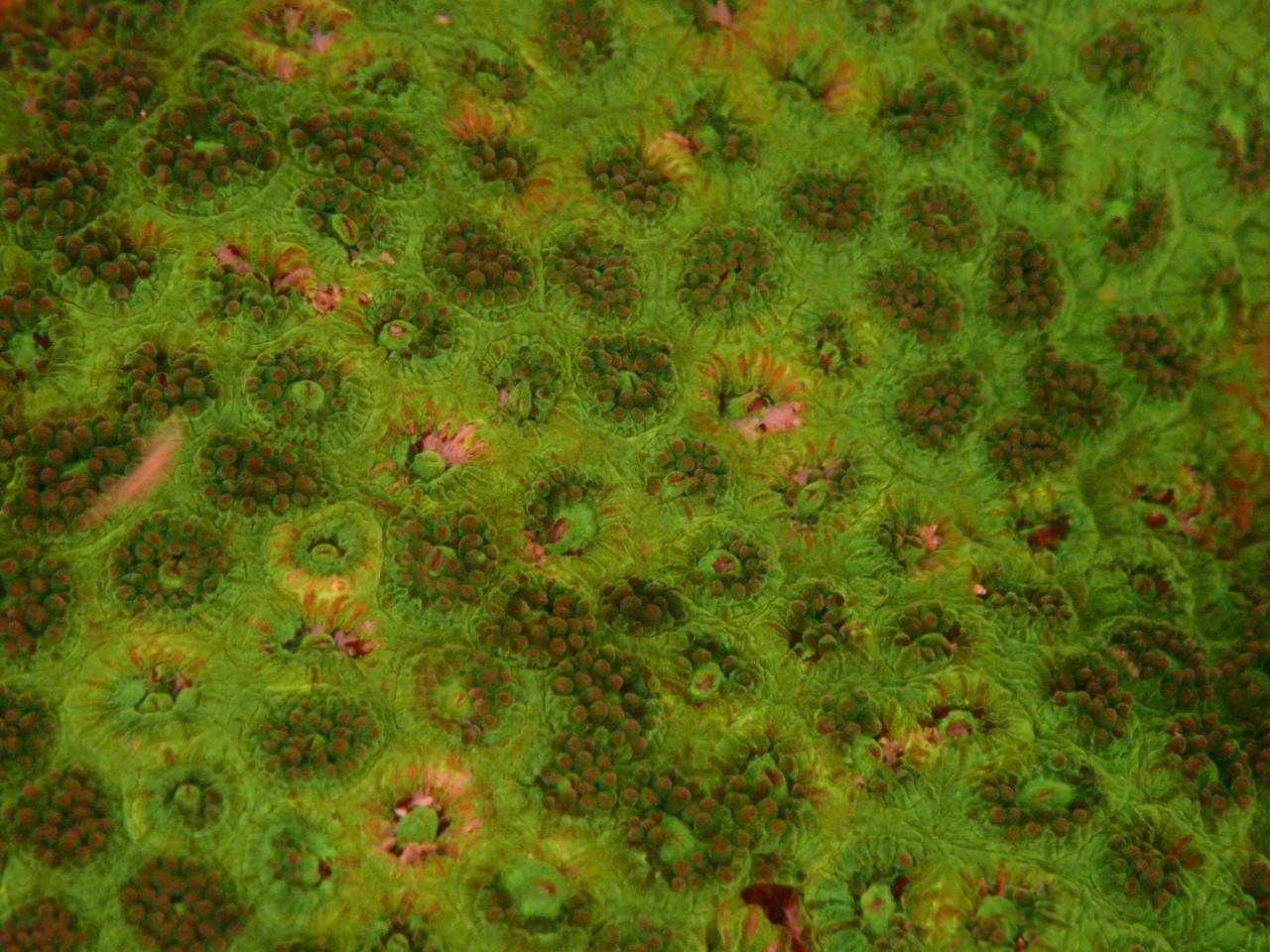 880bc3012d71475a88700d7d31a8fbc8