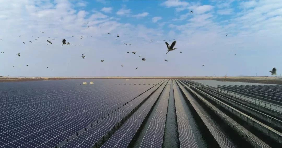 3cd8a57cf55c4601a67e0b68069f2861