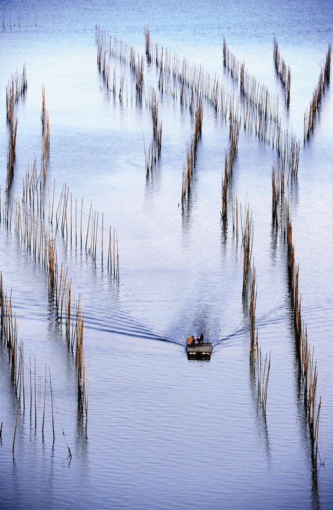 3a539d895f034c17b0c4541cde30b06f