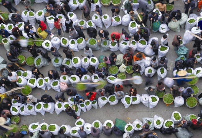 6673201d154544189074b0b433e25af0