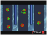 95d51069679f4398af49986e6cdc143e