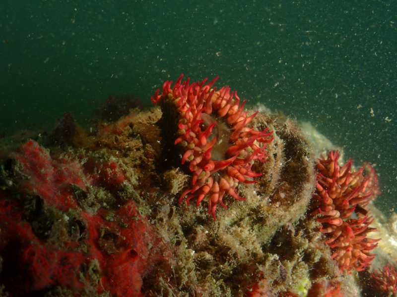 f53eea78508a496584363124f85c3309