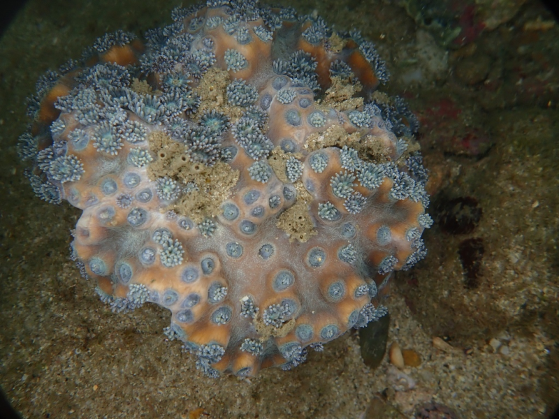 81942ff188fb4b158938082c7fa54cc2