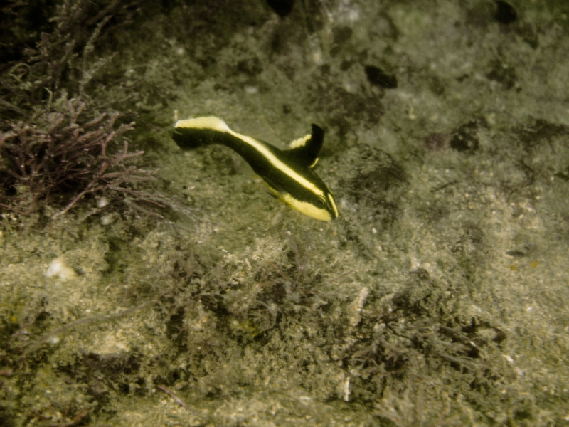 291166ebca844f6fb3f72e7c18746013