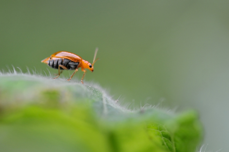 29613ad494964f8eb5533e4e680a6efa