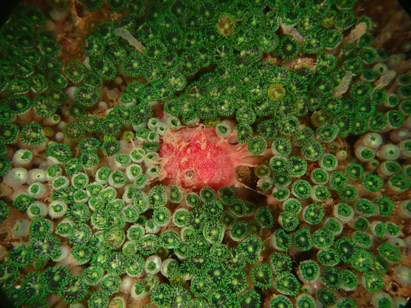 fbbeabb2d8c3492c9c9449572b0a841a