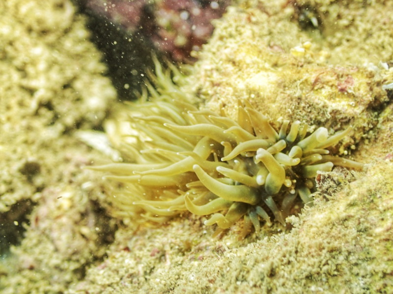 3d086e104ba94ef19587364c83b02583